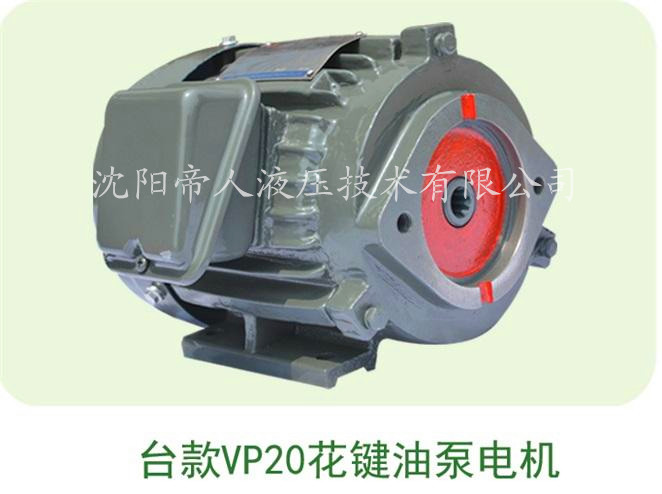 台款VP20油泵专用电机